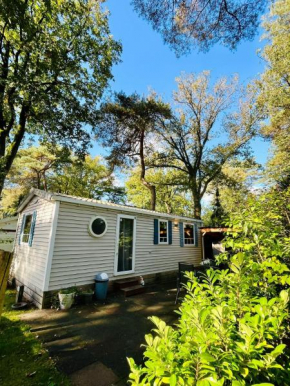 Chalet vakantiepark Kleine Belties 18